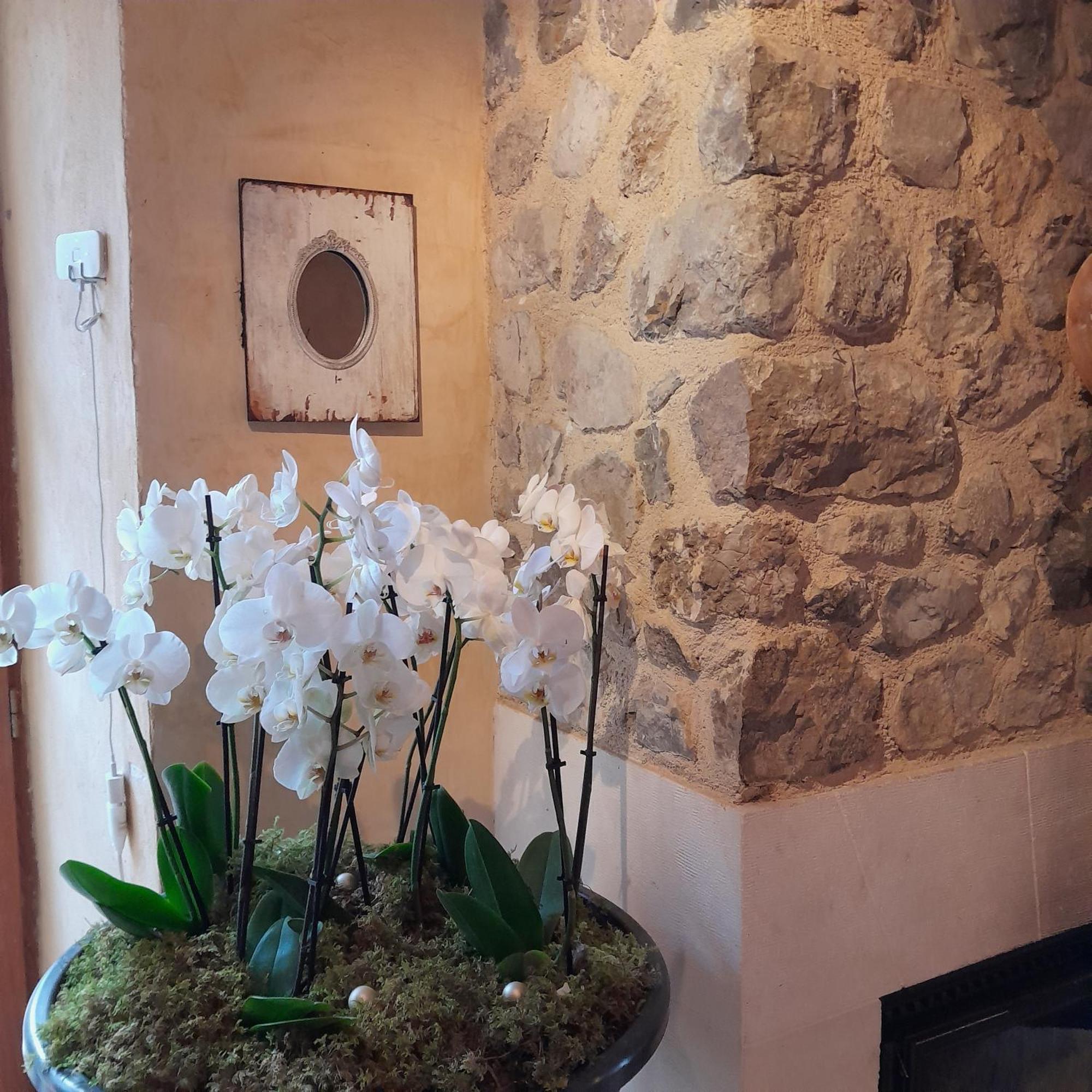 Barnave Chambre D'Hotes La Romarine מראה חיצוני תמונה